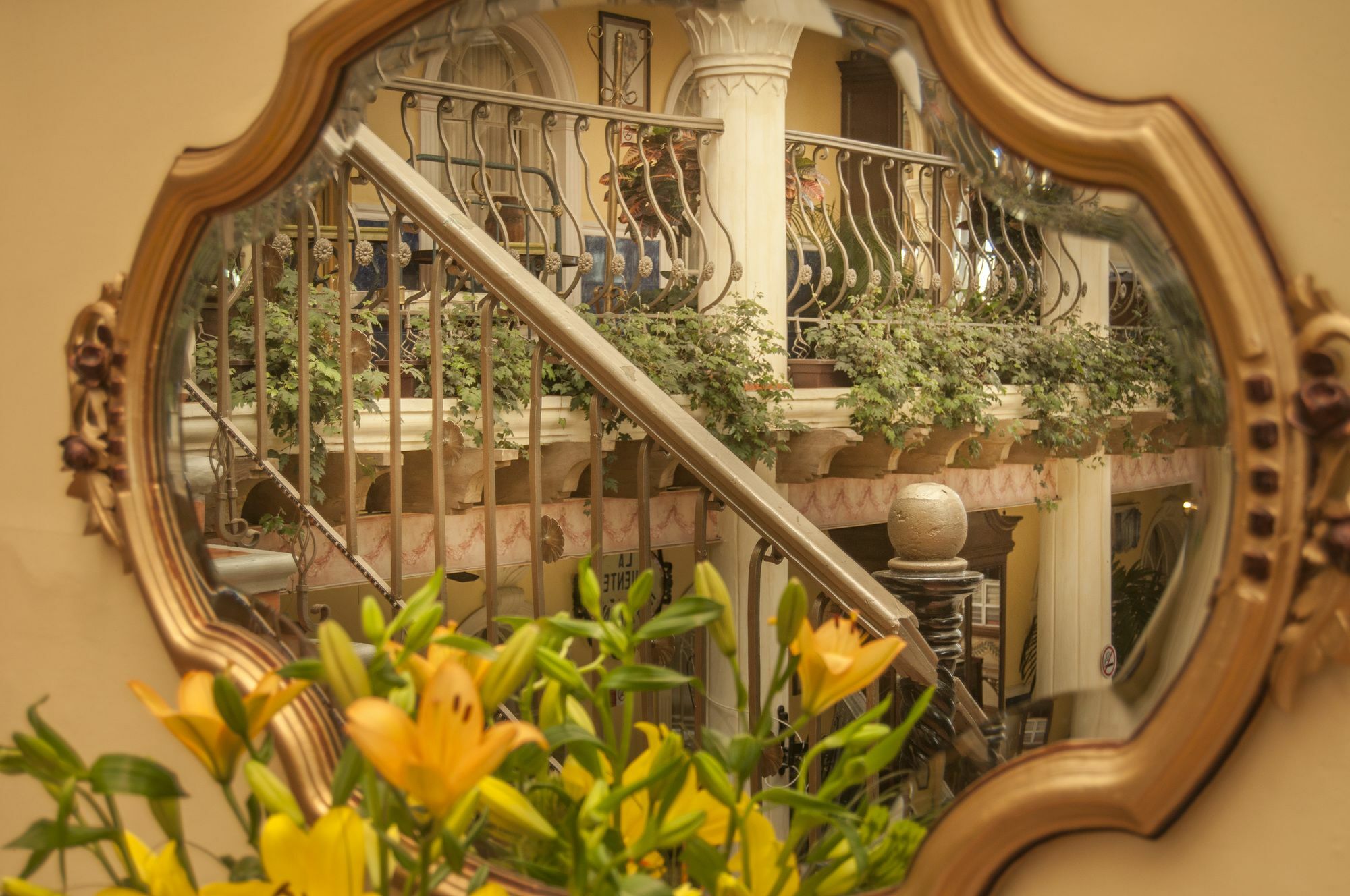 Centro Hotel Villa Las Margaritas 贾拉普 外观 照片
